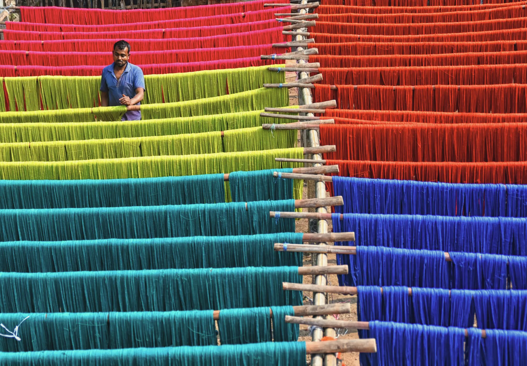 Long hanks of brightly dyed yarn drying in rows in the sun